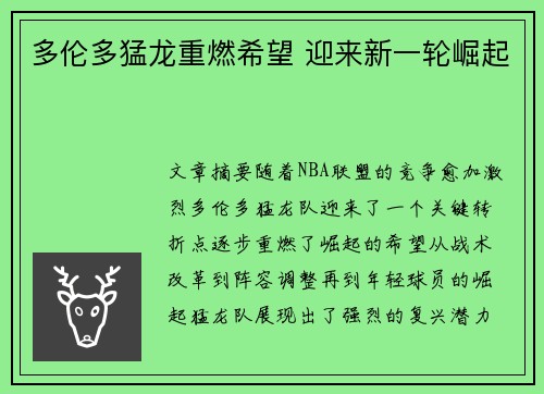 多伦多猛龙重燃希望 迎来新一轮崛起